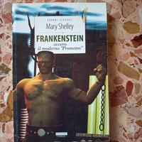Libro Frankenstein 