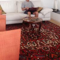 TAPPETO PERSIANO BAKTIARI