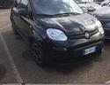 fiat-panda-1-0-firefly-s-s-hybrid-city-life