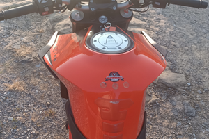 Disfacimento collezione