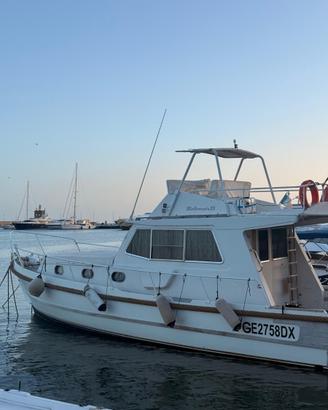 Pilotina Motomar 33