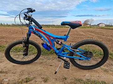 Bici 20 pollici bambino