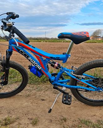 Bici 20 pollici bambino