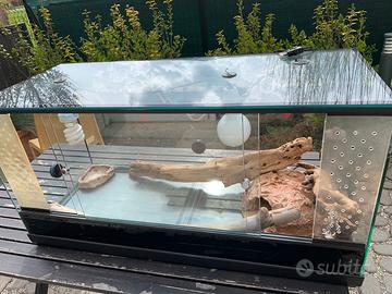 Teca/Terrario per Rettili