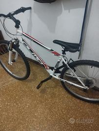 Olmo Sahara, ruote da 26