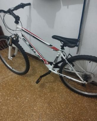 Olmo Sahara, ruote da 26