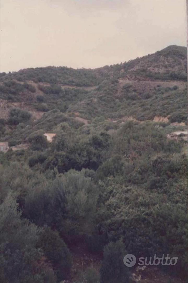 Terreno agricolo San Nicolò - Buggerru - Vista 5