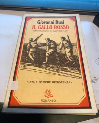 Il gallo rosso