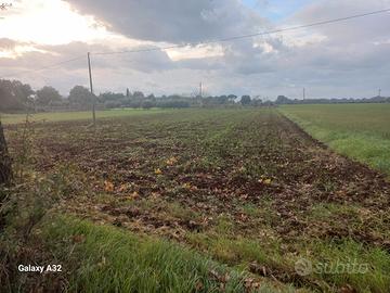 Terreno agricolo