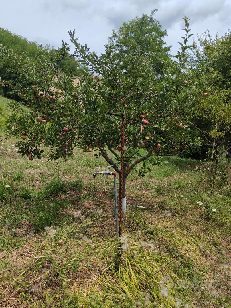 Terreno agricolo - Vista 3
