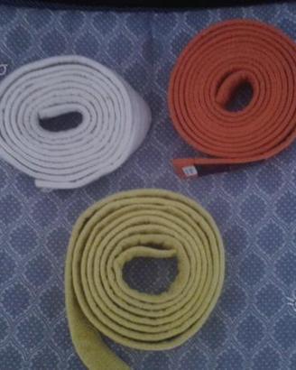 Cinture judo