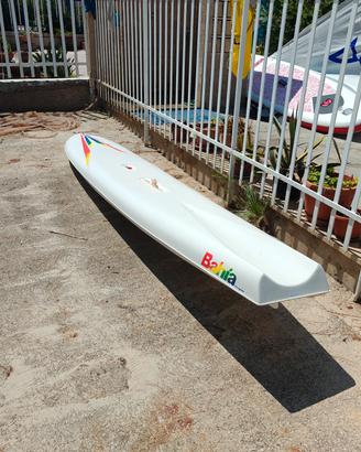 Windsurfer windglider Bahia