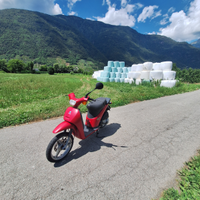 Piaggio free 50cc