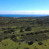 15 ettari tra mare e macchia mediterranea - Opport