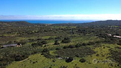 15 ettari tra mare e macchia mediterranea - Opport