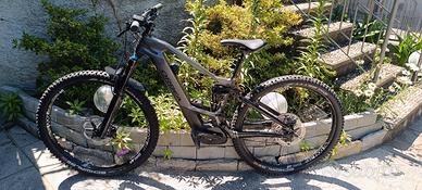 orbea wild e-bike