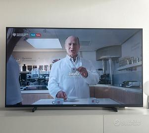 TV Philips 55” (smart tv/wifi)