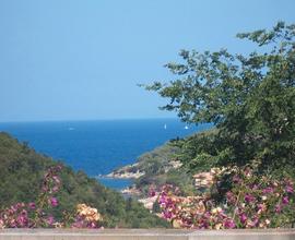 LAST MINUTE ISOLA D'ELBA Bilocale Vista Mare