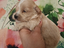 Immagine 10