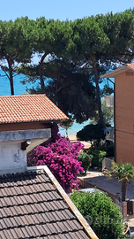 Casa vacanza attico a 20m m LUGLIO/AGOSTO