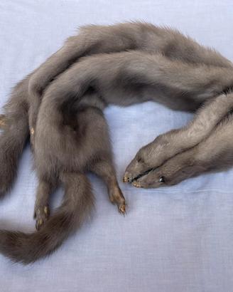 Sciarpa vintage in pelliccia di visone grigia