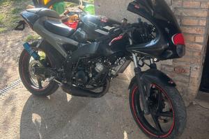 Aprilia rs 50 (80)