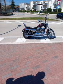 Harley Davidson 1200 sportster seventy two