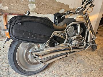 Borse laterali per Harley Davidson V-Rod