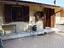 Immagine 11