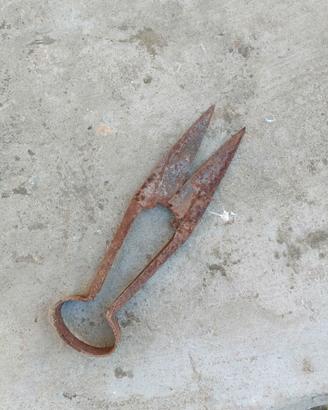 Vecchie forbici per tosare