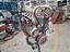 Immagine 6
