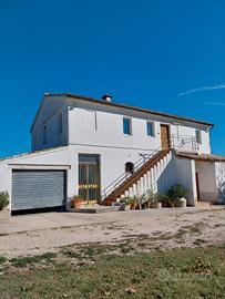 Casale con 1 ettaro di terreno agricolo