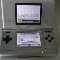 Nintendo DS