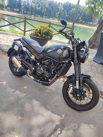 Benelli leoncino 500