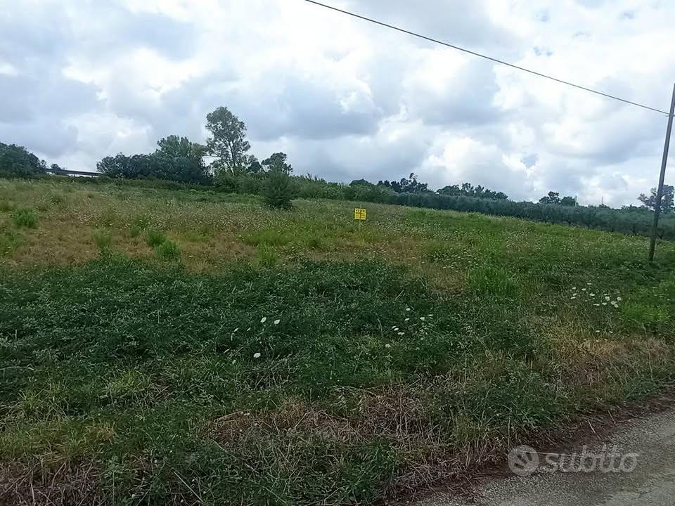 Terreno agricolo Petacciato - Vista 3
