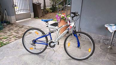 Bicicletta da trekking