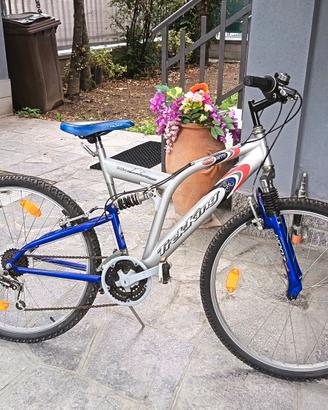Bicicletta da trekking