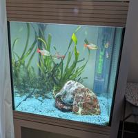 Acquario Askoll Pure M Led bianco con mobile