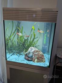 Acquario Askoll Pure M Led bianco con mobile