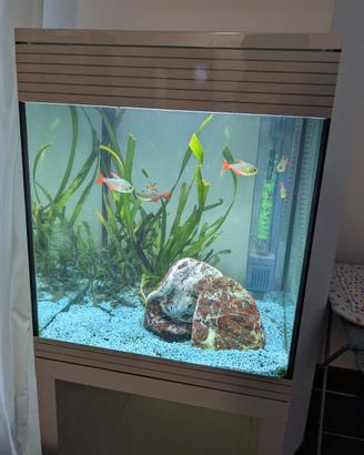 Acquario Askoll Pure M Led bianco con mobile