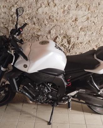 Yamaa fz1 in ottime conizoni