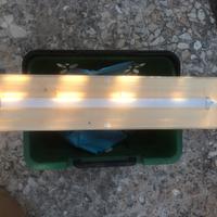 Lampada di emergenza Beghelli