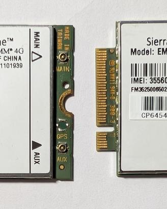 Coppia Moduli 4G LTE Sierra Wireless EM8805