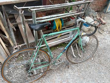 Binci bianchi anni 70