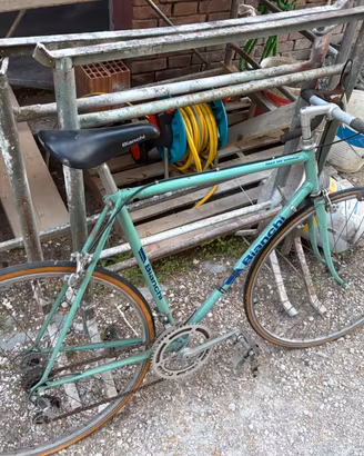 Binci bianchi anni 70