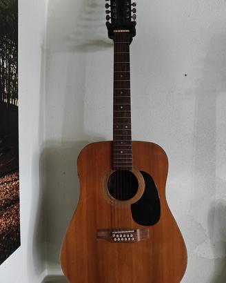 Chitarra 12 corde