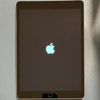iPad 9ª generazione (2021) – Wi-Fi + Cellular