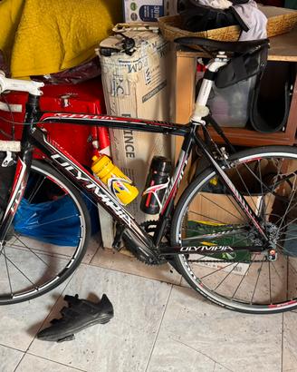 Olympia Speedy – Campagnolo Veloce