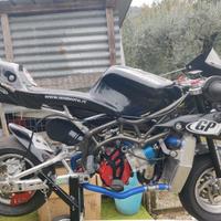 Minimoto Dm anno 2021 + ricambi