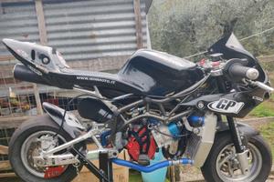 Minimoto Dm anno 2021 + ricambi